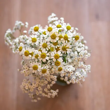 Alpinresort Stubaierhof ****s Szálloda Fulpmes