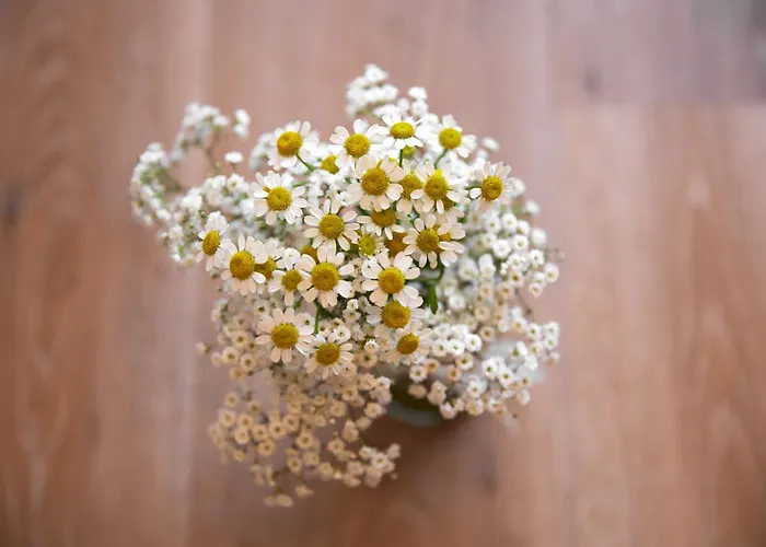 Alpinresort Stubaierhof ****s Szálloda Fulpmes